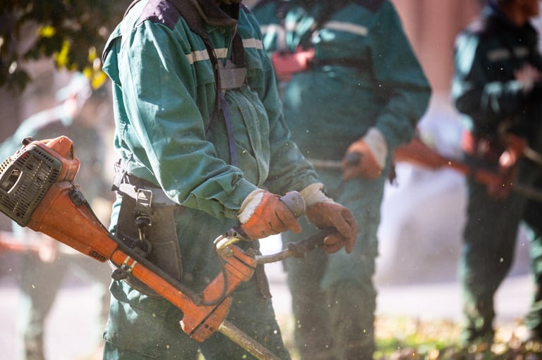 Landscaping team at work