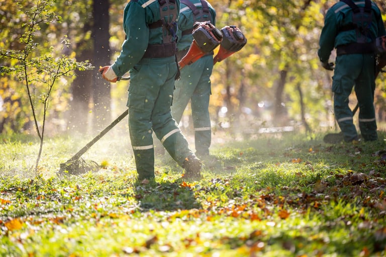 Workers maintaining grassy area