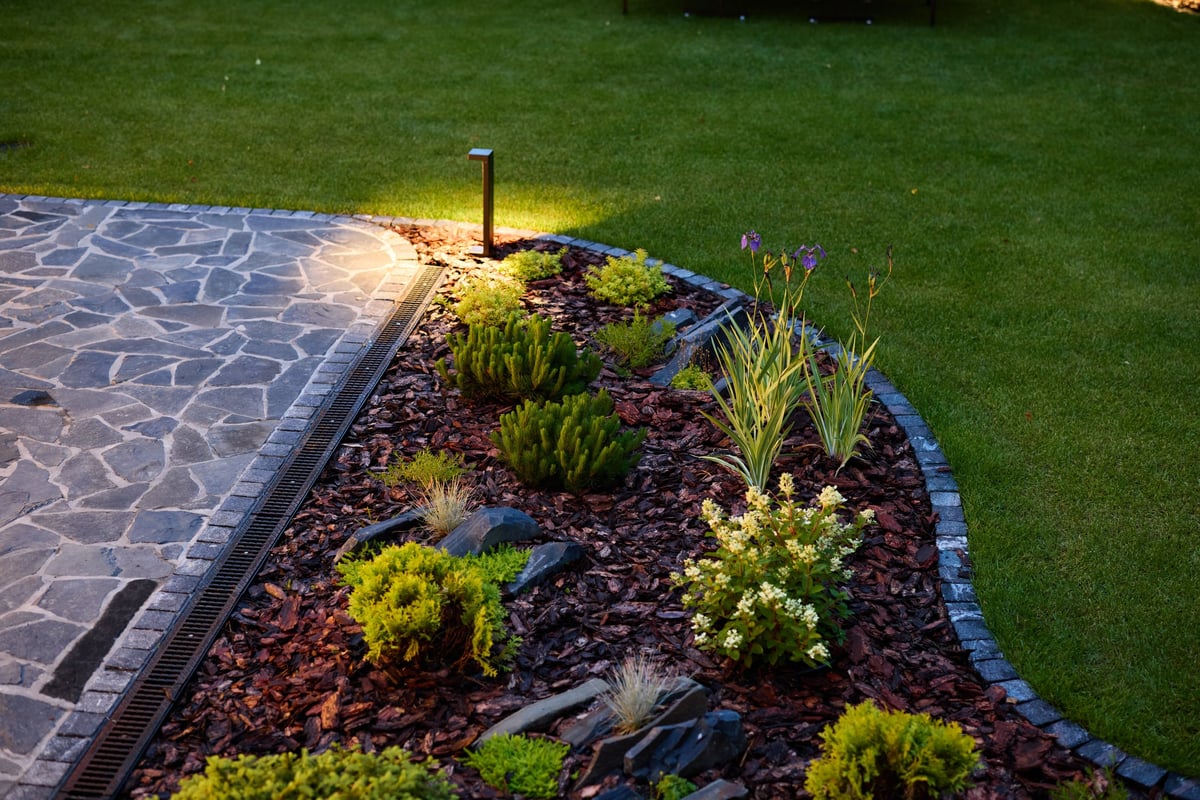 Garden with landscape lighting