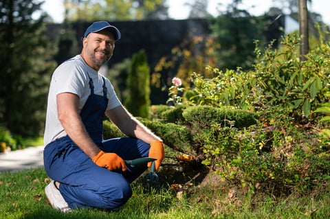 Professional landscaper working in garden