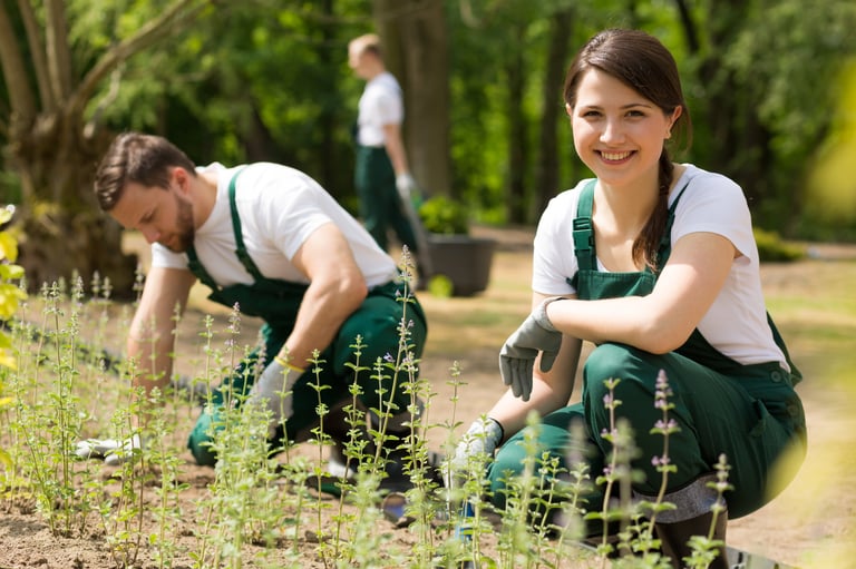 Team planting flowers